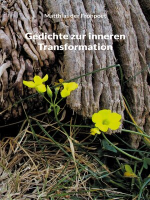 cover image of Gedichte zur inneren Transformation